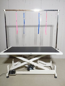 <span class=keywords><strong>Table</strong></span> de toilettage pour chien blanche personnalisable avec moteur électrique, bras de <span class=keywords><strong>table</strong></span> de toilettage et tapis durable, en vente pour la toilettage des animaux de compagnie - Product Image 2