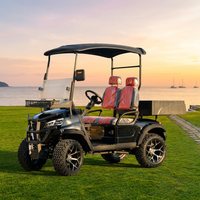 Carrito de Golf Eléctrico de Alta Calidad con 2 Asientos, Homologado para Circular por la Calle, con Batería de Litio y Neumáticos Todoterreno para Turismo