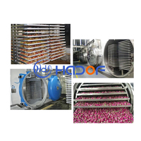 Lyophilisateur commercial à grande capacité 500 kg-1200 kg, sécheur par congélation sous vide pour aliments pour animaux de compagnie, fruits et légumes, machines de lyophilisation