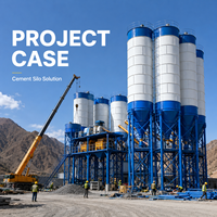 Silo Verticale per Polvere di Cemento con Collettore di Polveri per Stoccaggio Materiali da Costruzione