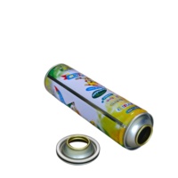 Bombe aérosol vide en fer blanc laqué résistante à la pression avec pulvérisateur à pompe, impression offset, pour la décoration de mariages, anniversaires et fêtes