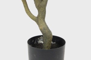 ต้นไม้ประดิษฐ์5.6 118ซม. จำลองพืชสีเขียวบอนไซ - Product Image 3