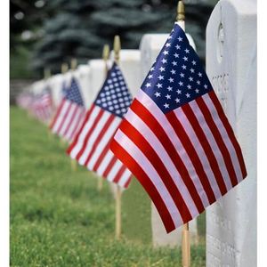 Banderas de Poliéster de Alta Calidad con Tamaño Personalizado, Banderas Estadounidenses para el 4 de Julio, Decoraciones Promocionales y Publicitarias, Banderas Americanas de Mano de 8x12 Pulgadas con Palo - Product Image 6