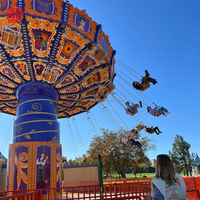 Prix d'usine 32 places Parc d'attractions Swing Ride Theme Park Spinning Fair Rides Chaise volante à vendre
