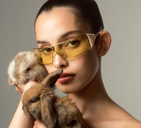 Lunettes de soleil Bettega Conjoined Fashion, nouvelle monture, tendance, personnalité, pose, incontournable, lunettes fraîches et petites, surdimensionnées