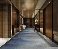 Tapis d'hôtel imprimé sur mesure pour chambres et couloirs d'hôtel, tapis pour salle de banquet, fabriqué en Chine.