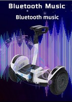 Bestseller Smart Selbstbalancierender Elektroroller mit LED-Beleuchtung 10 Zoll Segway für Beinsteuerung 700W Motor Aluminiumlegierung