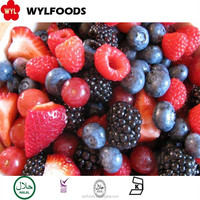 Penjualan Panas Panen Baru IQF Buah Beri Campuran Beku Massal Stroberi Blackberry Raspberry Blueberry Lingonberry