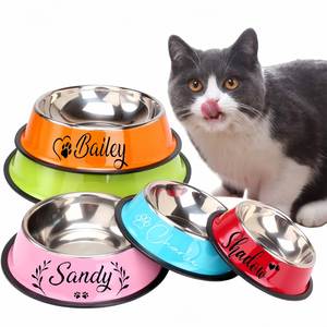 <b>Personalised</b> Name Stainless Steel Pet <b>Bowls</b> for Cat/<b>Dog</b>, Customized Colored Anti Dumping Non-Slip Pet Water <b>Bowl</b> - Product Image 1
