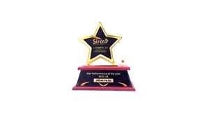 Trofeo de premio en forma de estrella con base de madera, reconocimiento a empleados, premio por logro anual, apreciación y premio por rendimiento corporativo - Product Image 2