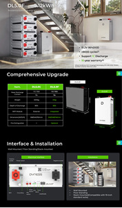 Batería de almacenamiento doméstico <span class=keywords><strong>Dyness</strong></span> de 5 kWh, 51.2 V, 100 Ah, LiFePO4 con BMS y WiFi, 8000 ciclos, paquete de baterías solares LiFePO4 para sistema inversor híbrido - Product Image 6