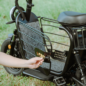 Bicicleta Eléctrica Urbana D+ Big Dudu con Doble Motor, Diseño Moderno y Elegante, Transporte de Mascotas, Frenos de Disco, Cuadro de Acero, 48V 500W - Product Image 6