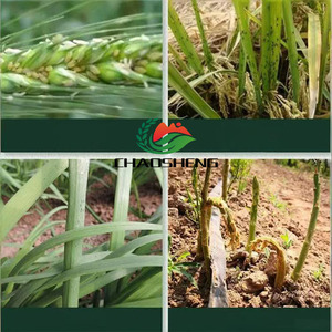 <span class=keywords><strong>Herbicida</strong></span> Selectivo, Especialmente Utilizado en Campos de Remolacha Azucarera. Múltiples Especificaciones Disponibles <span class=keywords><strong>para</strong></span> Satisfacer Diferentes Necesidades de Clientes. - Product Image 3