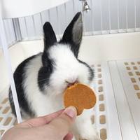 Friandises à Mâcher pour Lapins, Cochons d'Inde, Gâteau de Thymothème pour Lapins, Hamsters, Chinchillas, Collations Molaires, Aliments pour Lapins