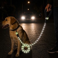 Laisse Réfléchissante pour Chien en Nylon Tressé, Sécurité Nocturne, Poignée Rembourrée Antidérapante, Mousqueton Robuste pour Grands, Moyens et Petits Chiens