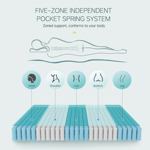 Nữ Hoàng Kích thước lai nệm chân không nén Túi mùa xuân massage nệm bọt <span class=keywords><strong>roll</strong></span>-in-a-box tính năng hỗ trợ phân vùng - Product Image 4