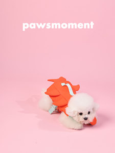 Chaleco Salvavidas para Perros PAWSMOMENT, Traje de Baño para Mascotas, Traje de Baño con Flotabilidad para Playa y Piscina con Alas Pequeñas, Divertido y Diseñado para Mascotas Pequeñas - Product Image 4
