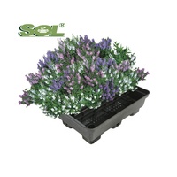 Système de serre de jardin modulaire avec panneaux en PP durables, assemblage DIY écologique pour balcons et terrasses urbaines