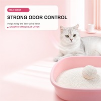 Litière pour chat en manioc à forte absorption des odeurs, agglomération rapide, faible poussière, parfum lait, écologique, emballage personnalisé, OEM ODM, vente en gros