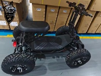 60V 60Ah | 96Ah en option |   Kart électrique tout-terrain pour adultes, puissance maximale 10000W, vitesse 31MPH, charge utile 300kg, pliable, ATV tout-terrain, E-Scooter