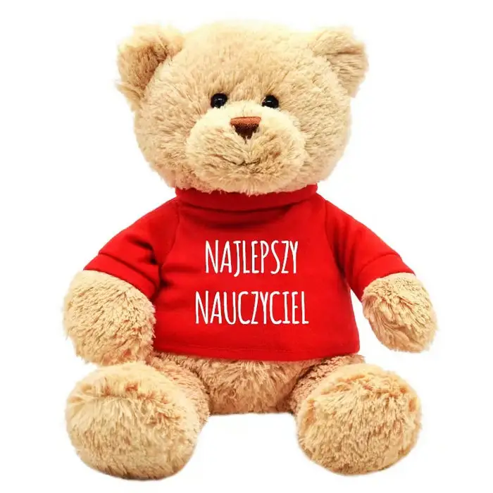 Low MOQ Custom Personalized Text Logo Image Design Promotional Stuffed Plush Toys Teddy Bear with T shirt