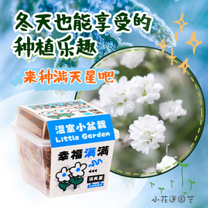 Mini plantes en pot pour enfants et étudiants, boîte d'observation des plantes, cadeau en plastique écologique pour enfants, Noël et enfants - Product Image 2