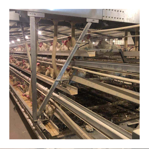 Factory Price <strong>Full</strong> Automatic <strong>Chicken</strong> <strong>Coop</strong> in Africa <strong>for</strong> <strong>Sale</strong> - Product Image 2