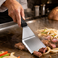 Spatule de cuisine en acier inoxydable de qualité supérieure, spécifications européennes, spatule à œufs, spatule de cuisine avec poignée antidérapante en PP, directement de l'usine