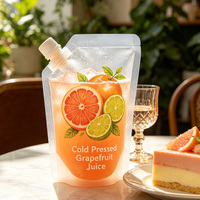 Pochettes à bec verseur transparentes givrées, personnalisables, anti-fuite, de qualité supérieure, pour le stockage de boissons fraîches et de fruits frais