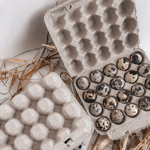 Disposable Quail Egg Custom Packaging Paper Pulp Carton Boxes Dozen Egg Carton Bulk Price