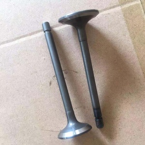 1C010-1311-<span class=keywords><strong>2</strong></span> 1C010-1312-<span class=keywords><strong>3</strong></span> fabrika motor supabı ku35 V3300 16V için 35*7*100 EX 30*7*100 - Product Image 2