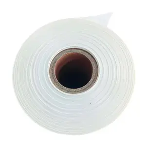 Mylar polyester film başına 250 mikron sütlü beyaz yalıtım elektrik sarma motor yuvası yalıtım 6020 6021 pet film