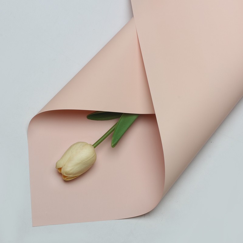 Rosa pallido