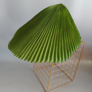 Vente en gros de feuilles de <span class=keywords><strong>palmier</strong></span> plissées artificielles vert armée, aspect réaliste, verdure tropicale, tige de <span class=keywords><strong>palmier</strong></span> <span class=keywords><strong>Licuala</strong></span> artificielle pour la décoration intérieure - Product Image 2