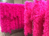 Rosa bufanda Turquía pluma Boa DIY artesanía ropa traje baile vestido Cosplay accesorio para el hogar fiesta Navidad decoración teñida
