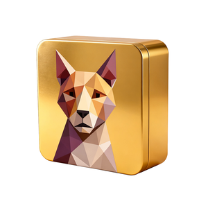 Vàng Hộp quà tặng <span class=keywords><strong>tin</strong></span> vuông với nắp rỗng kim loại <span class=keywords><strong>tin</strong></span> trường hợp đối với Quà Tặng đóng gói tùy chỉnh kim loại <span class=keywords><strong>tin</strong></span> hộp - Product Image 3