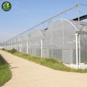 गर्म बिक्री जस्ती ग्रीनहाउस कृषि के लिए तम्बू - Product Image 5