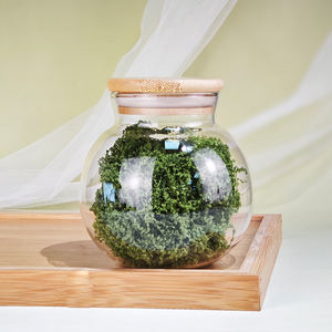 Pot en verre transparent exquis liège Micro paysage bouteille écologique Terrarium conteneur Aquarium veilleuse réservoir de poissons décor verre - Product Image 5