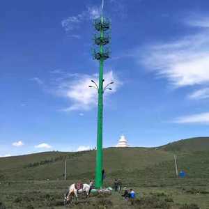 Maßgefertigter Shenghong 15M-50M Mehr als 50 Jahre Höhe Feuerverzinkter Stahlrohrmast Telekommunikationsturm <span class=keywords><strong>Monopole</strong></span> Einzelturm - Product Image 2