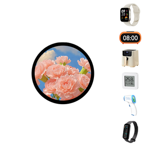 1.43 inch AMOLED hiển thị mô-đun ICNA3310CCF-08 với 466x466 màn hình cảm ứng qspi giao diện 550cd/M độ sáng nhà máy - Product Image 5