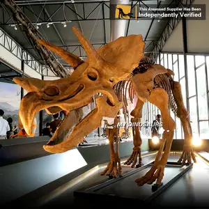 Meu dino dinossauro realista 3d impermeável, modelo de esqueleto triceratops