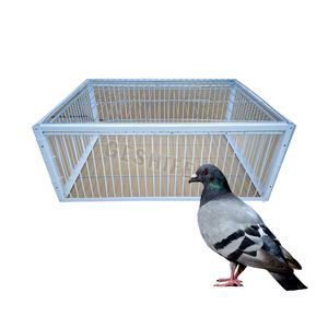 Piège à oiseaux galvanisé de taille multiple <span class=keywords><strong>Cage</strong></span> de pigeon sauvage Humane Way avec l'entrée à sens unique Piégeage des pigeons dans les cages - Product Image 1