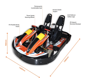 Kart à essence APEX GT Duo-Professional 200cc, <span class=keywords><strong>moteur</strong></span> 6,5 CV, <span class=keywords><strong>karting</strong></span> de course d'endurance, <span class=keywords><strong>karting</strong></span> sport haute vitesse - Product Image 3