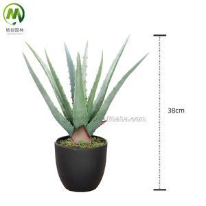 Plantes artificielles décoratives simulation plante verte succulente avec <span class=keywords><strong>pot</strong></span> pour jardin paysage décor faux - Product Image 5