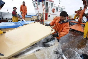 Glacière robuste rotomoulée 660L en LLDPE pour le transport de fruits de mer et le stockage alimentaire - Product Image 4