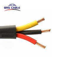 2,5mm 3-adriges elektrisches Tauch wasserpumpen kabel für Tauch pumpe