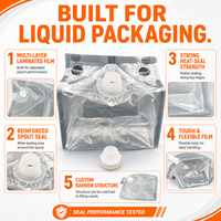 Sac intérieur en plastique transparent personnalisable avec bec verseur à vis anti-fuite et poignées de transport pour l'emballage de boissons, de vin et de liquides