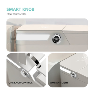 Inodoro Inteligente de Una Pieza con Bidé Integrado, Sanitario para Hotel, con Control Remoto, Montaje en Suelo, Modelo FA-989, en Oferta - Product Image 4