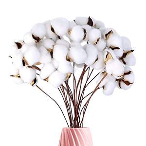 Tiges de fleurs en coton naturel, bouquet artificiel séché, décoration rustique pour la maison, style <span class=keywords><strong>Instagram</strong></span> - Product Image 1