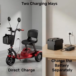 Triciclo Elettrico Pieghevole a <span class=keywords><strong>3</strong></span> Ruote 48V con Batteria Rimovibile, Scooter per la Mobilità di Adulti e Anziani per Spostamenti Quotidiani, Disponibile in Magazzini USA e UE - Product Image 2